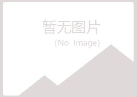 恒山区盼夏化学有限公司